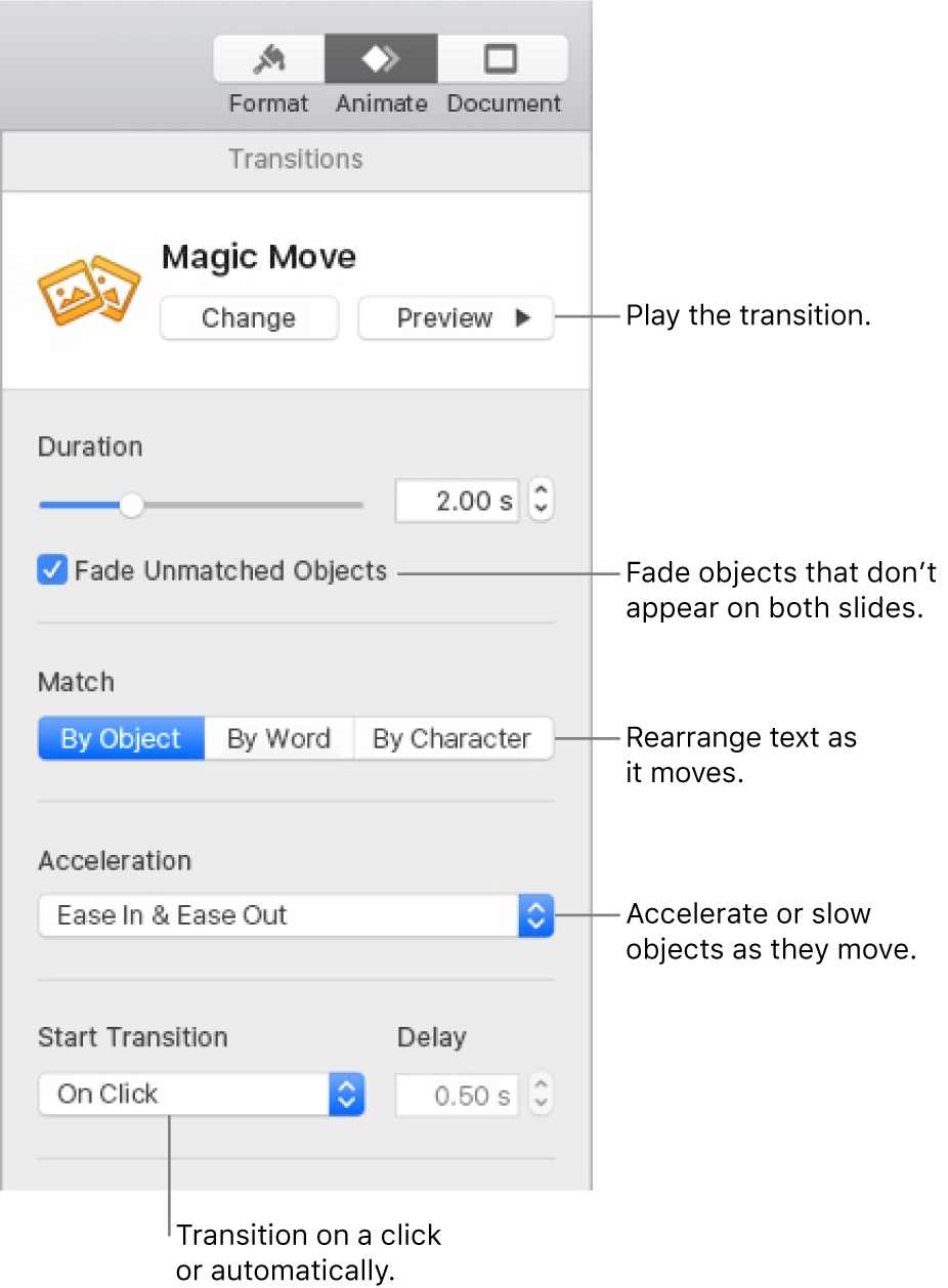 Magic Move transition controls in the Transitions section of the Animate sidebar.