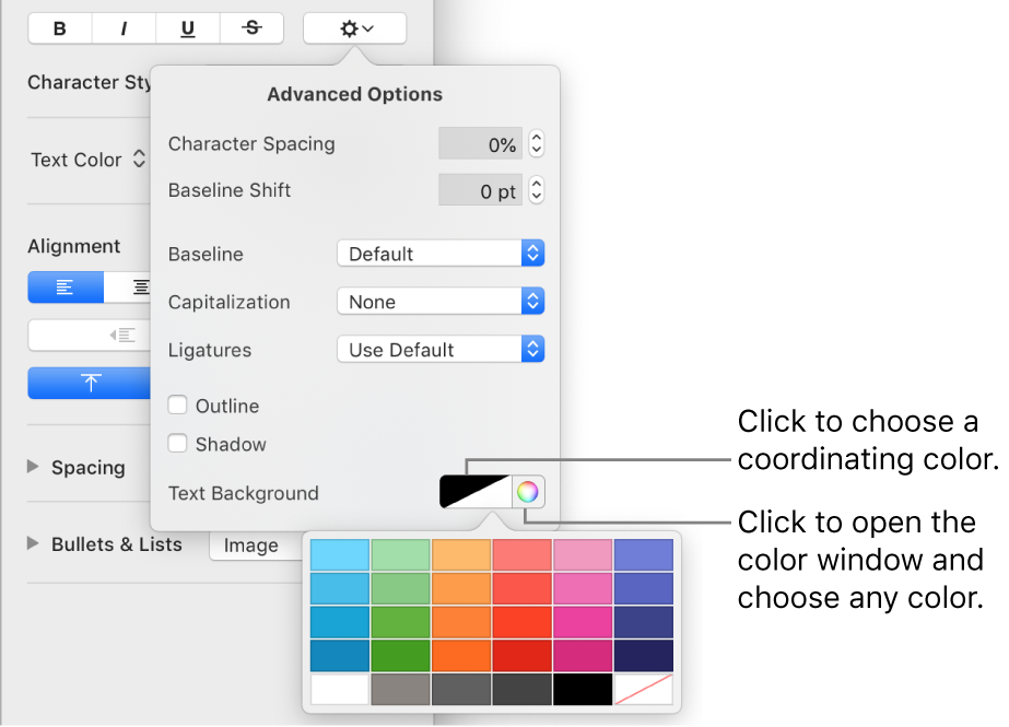 Controls for choosing a background color for text.