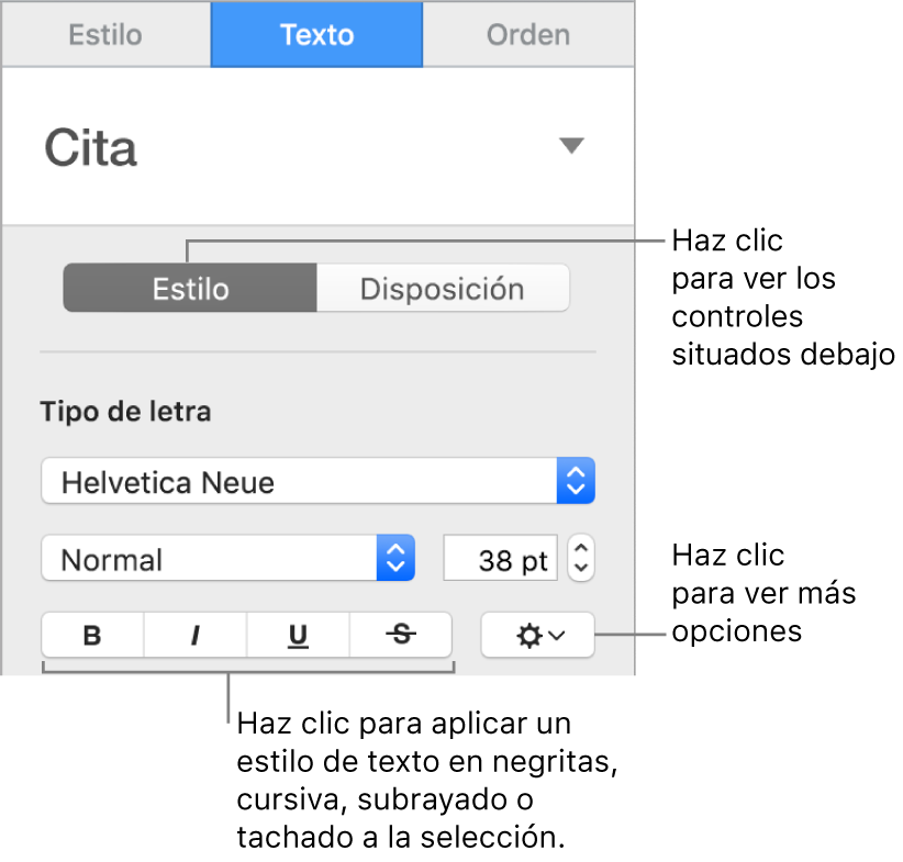 Los controles de estilo de la barra lateral con texto que indica los botones Negrita, Cursiva, Subrayado y Tachado.