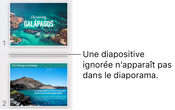 Navigateur de diapositives avec une diapositive ignorée s’affichant sous forme de ligne horizontale.