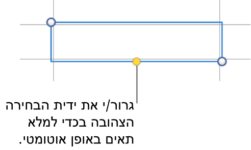 תא נבחר עם ידית צהובה שניתן לגרור כדי למלא תאים באופן אוטומטי.