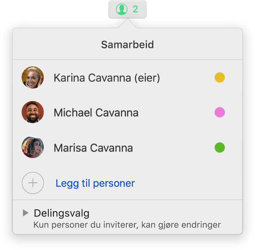 Samarbeid-menyen, som viser navnene til personer som samarbeider om presentasjonen. Delingsvalg er under navnene.