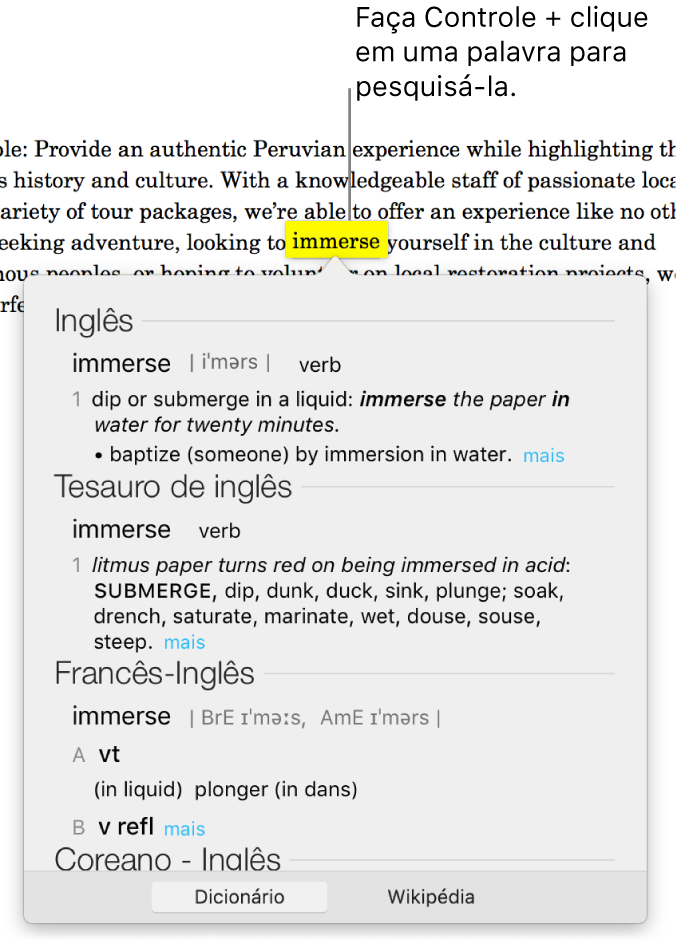 Texto com uma palavra destacada e uma janela mostrando sua definição e um resultado do tesauro. Os dois botões na parte inferior da janela fornecem links para o dicionário e para a Wikipédia.