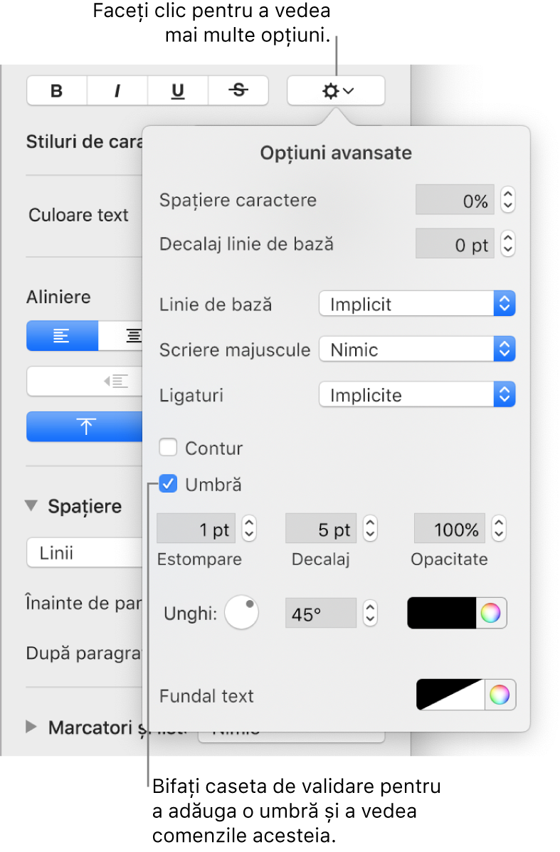 Meniul Opțiuni avansate deschis, cu caseta de validare Umbră selectată și comenzile pentru configurarea estompării, decalajului, opacității, unghiului și culorii.