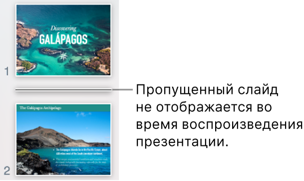 Навигатор слайдов с пропущенным слайдом, вместо которого отображается горизонтальная линия.