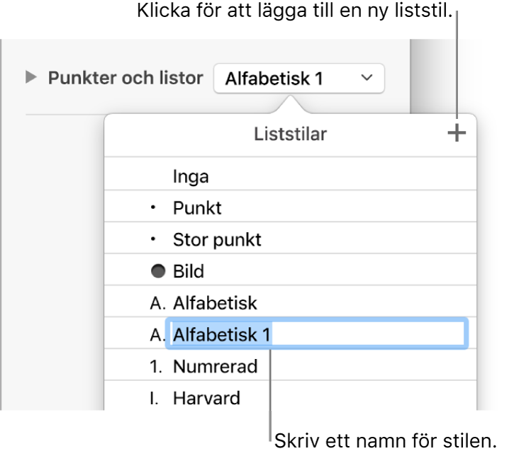 Popupmenyn Liststilar med en lägg till-knapp i det övre högra hörnet och ett platshållarstilnamn med markerad text.