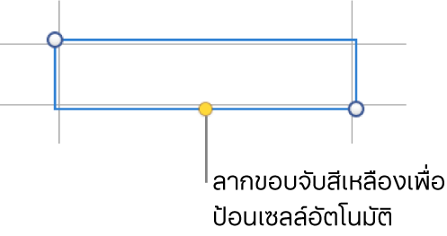 เซลล์ที่เลือกที่มีขอบจับสีเหลือง ซึ่งคุณสามารถลากเพื่อป้อนเซลล์อัตโนมัติได้