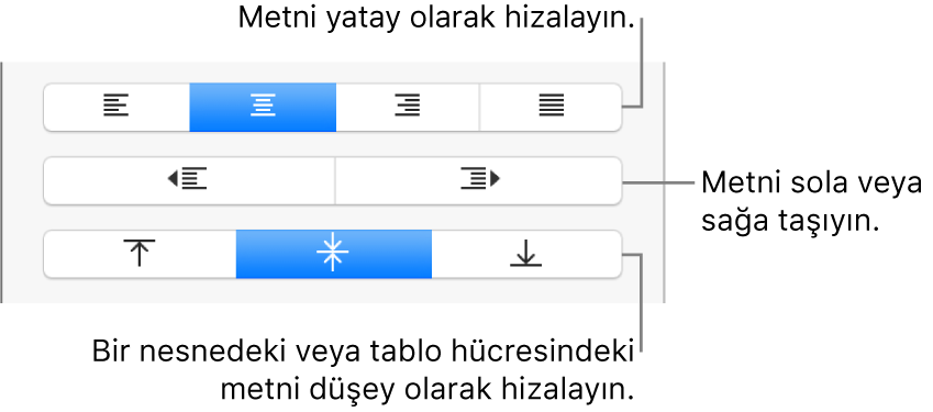 Metni dikey olarak hizalama, metni sola veya sağa taşıma ve metni dikey olarak hizalama düğmelerini gösteren kenar çubuğunun Hizalama bölümü.