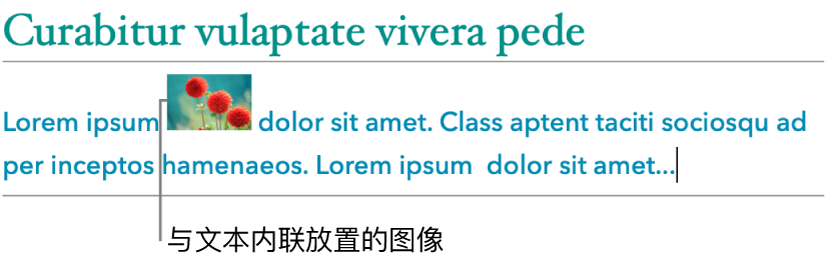 与文本内联放置的图像。