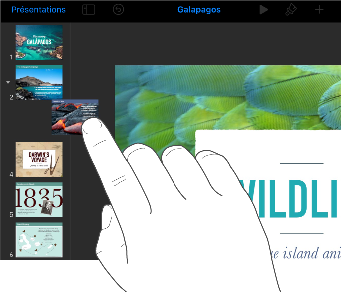 Image d’un doigt faisant glisser une vignette de diapositive dans le navigateur de diapositives.