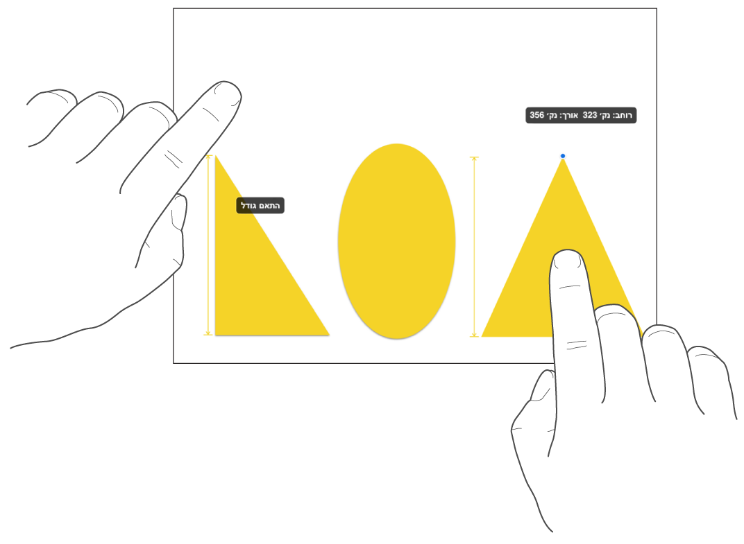 אצבע אחת ממש מעל לצורה ואצבע אחרת מחזיקה אובייקט כאשר המילים ״התאם גודל״ מוצגות על המסך.