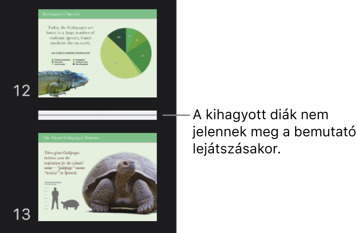 A dianavigátor egy vízszintes vonalként megjelenő kihagyott diával.