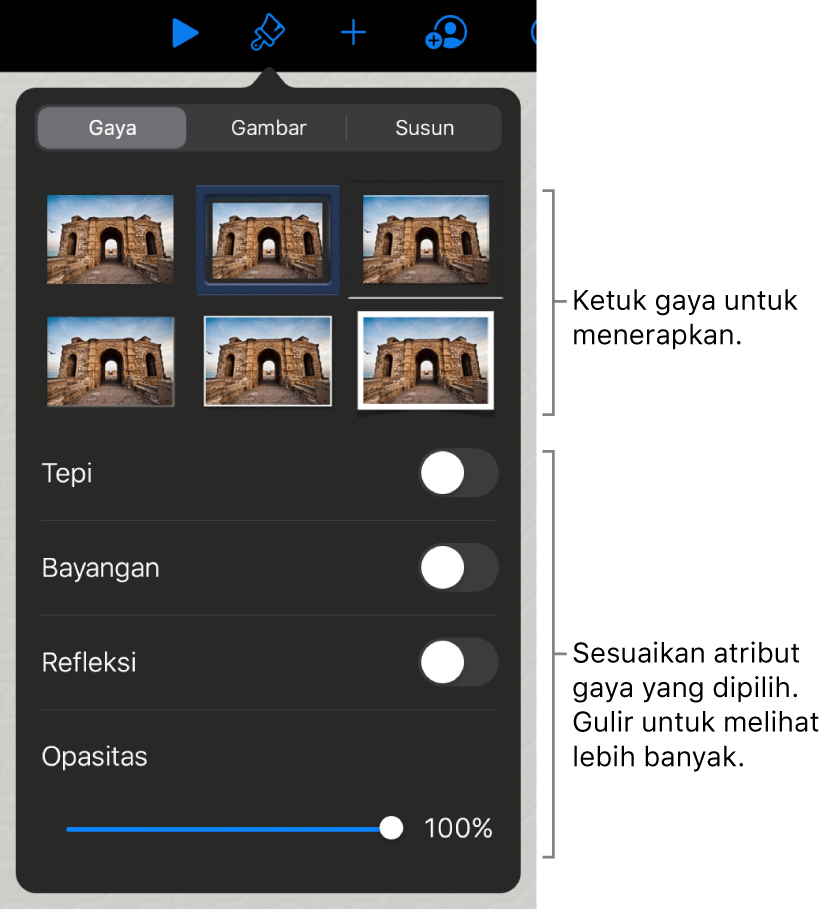 Tab Gaya menu Format dengan gaya objek di bagian atas dan kontrol di bawahnya untuk mengubah tepi, bayangan, refleksi, dan opasitas.