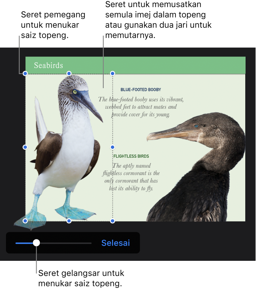 Gelangsar topeng di bahagian bawah foto.