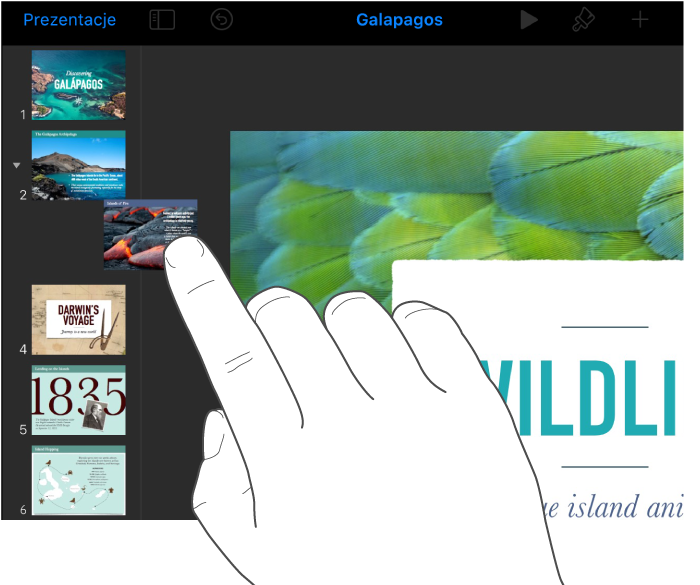 Ilustracja przedstawiająca palec przeciągający miniaturkę slajdu w nawigatorze slajdów.