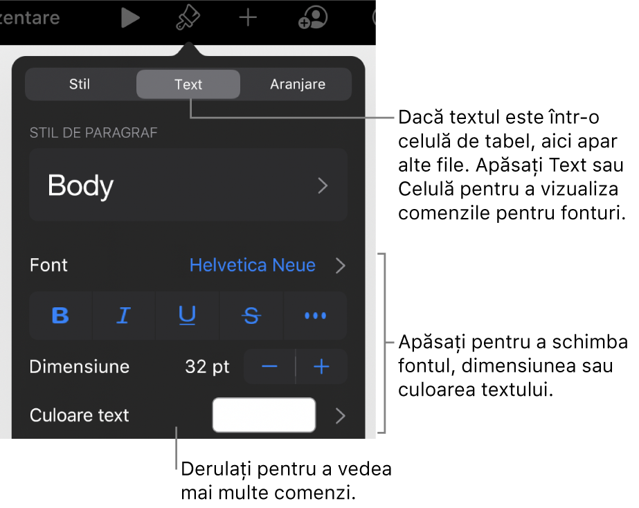 Comenzi text din meniul Format pentru configurarea paragrafelor și a stilurilor, fonturilor, dimensiunii și culorii caracterelor.