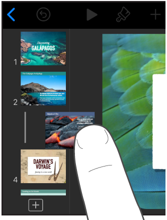 Image of a finger dragging a slide thumbnail in the slide navigator.
