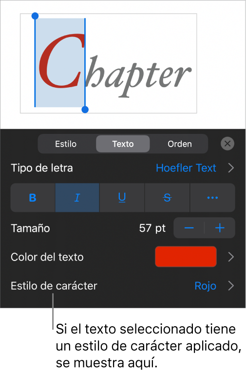 Los controles de formato de texto con "Estilo de carácter" debajo de los controles de color. El estilo de carácter Ninguno aparece con un asterisco.