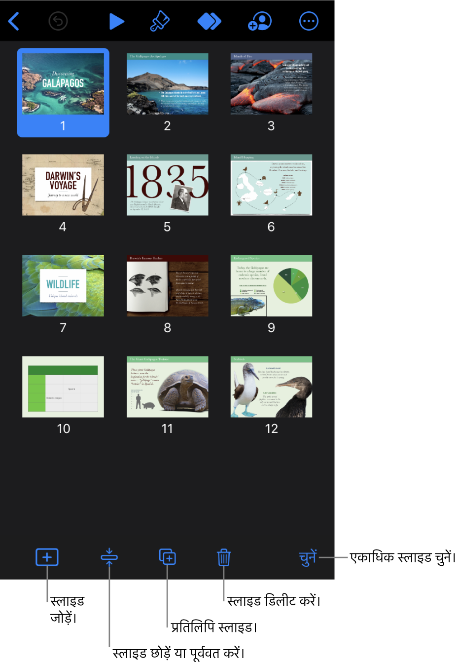 स्लाइड को जोड़ने, स्किप करने, नक़ल करने और डिलीट करने के लिए तथा एकाधिक स्लाइड का चयन करने के लिए, स्क्रीन के नीचे स्थित बटन सहित लाइट टेबल दृश्य।