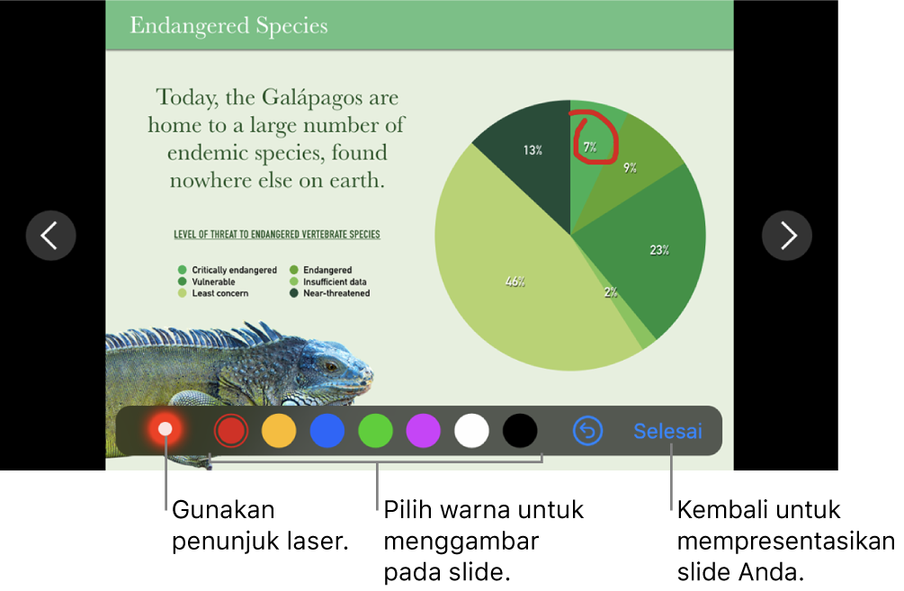 Slide dalam mode ilustrasi slide menampilkan penunjuk laser dan kontrol pilihan warna.