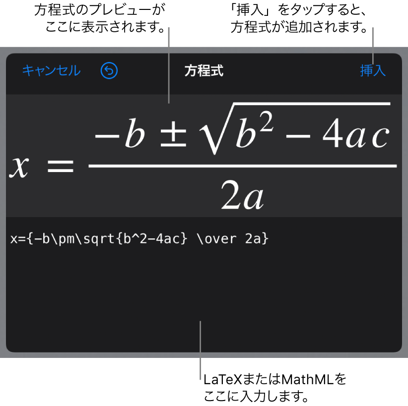 LaTeXを使用して書き込まれた二次方程式の解の公式が「方程式」フィールドに、公式のプレビューがその下に表示されます。