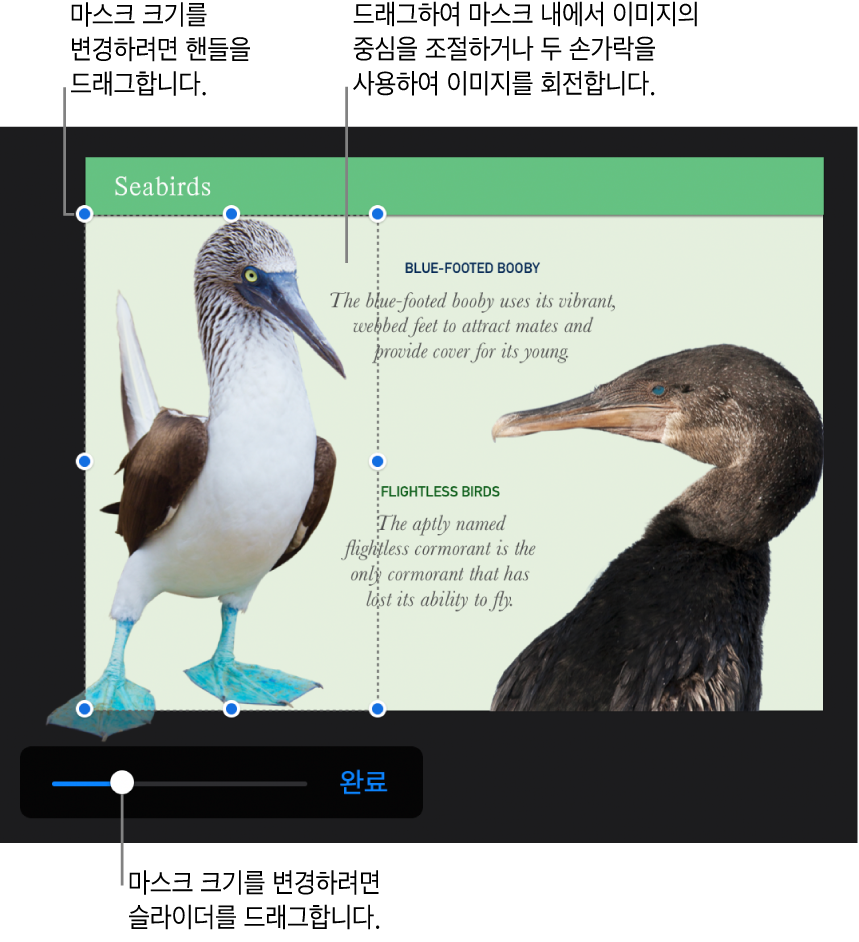 사진 하단의 마스크 슬라이더.