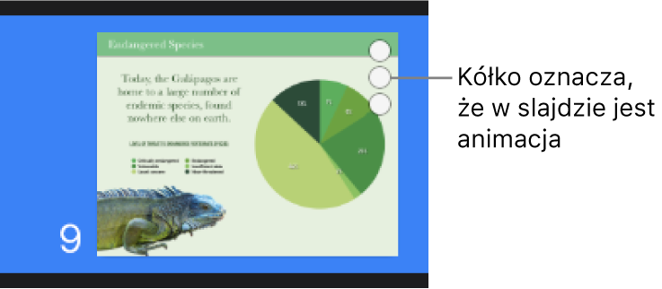 Slajd z trzema kółkami w prawym górnym rogu, oznaczającymi, że na danym slajdzie są animacje.