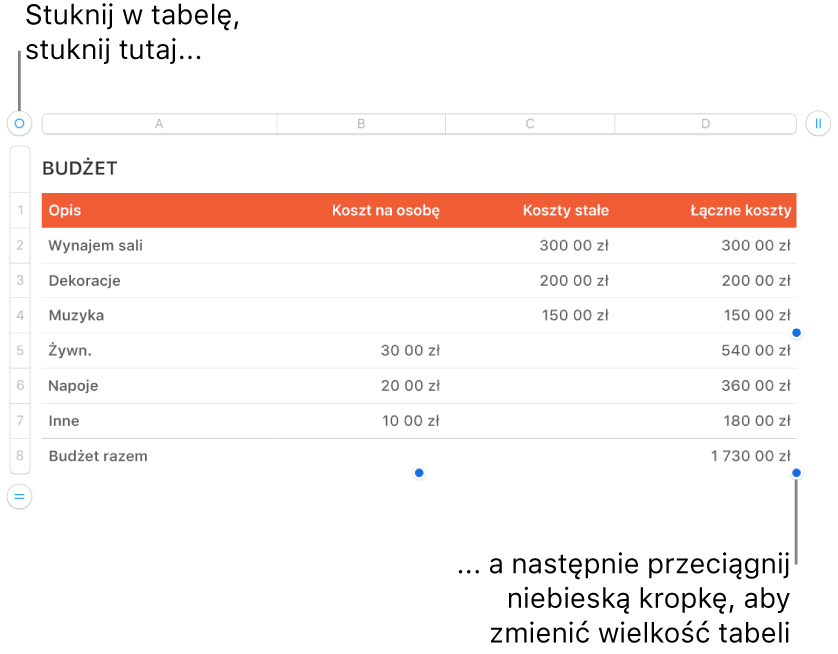 Zaznaczona tabela z niebieskimi kropkami pozwalającymi na zmienianie jej wielkości.