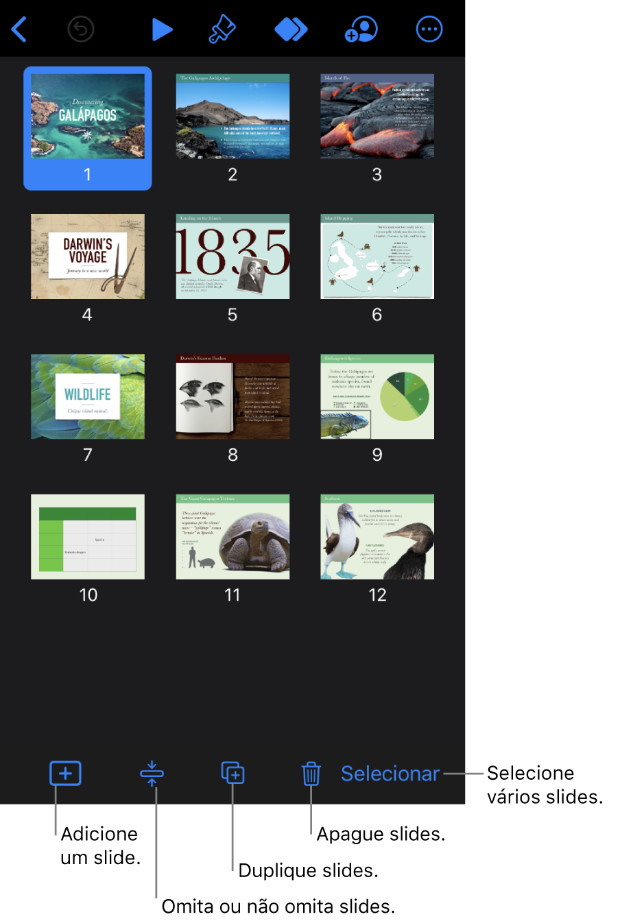 Visualização de mesa de luz com botões na parte inferior da tela para adicionar, omitir, duplicar e apagar slides, e para selecionar vários slides.