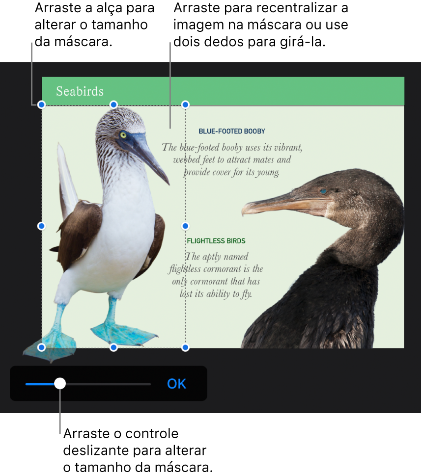 Controle deslizante de máscara na parte inferior de uma foto.