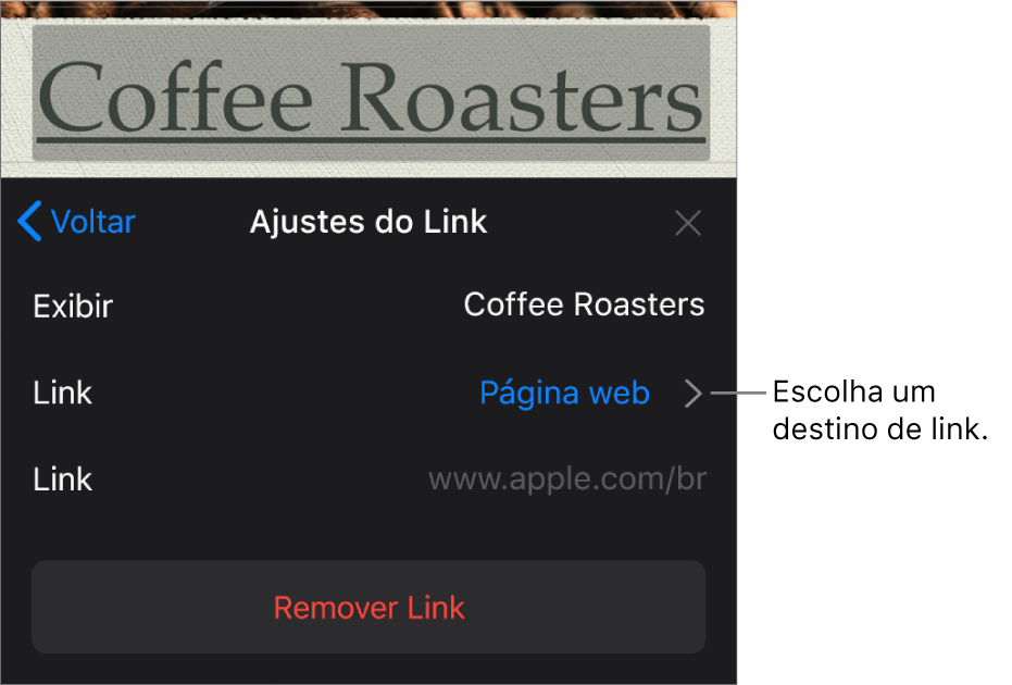 Controles “Ajustes do Link” com os campos Exibir, Link (definido como Página web) e Link. O botão Remover Link está na parte inferior.