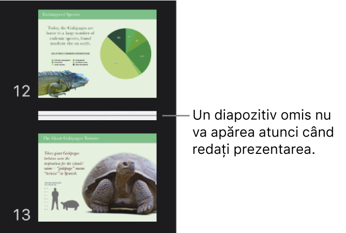 Navigatorul de diapozitive cu un diapozitiv omis, afișat ca linie orizontală.