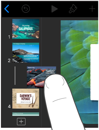 Slayt gezgininde küçük bir slayt resmini sürükleyen parmak görüntüsü.