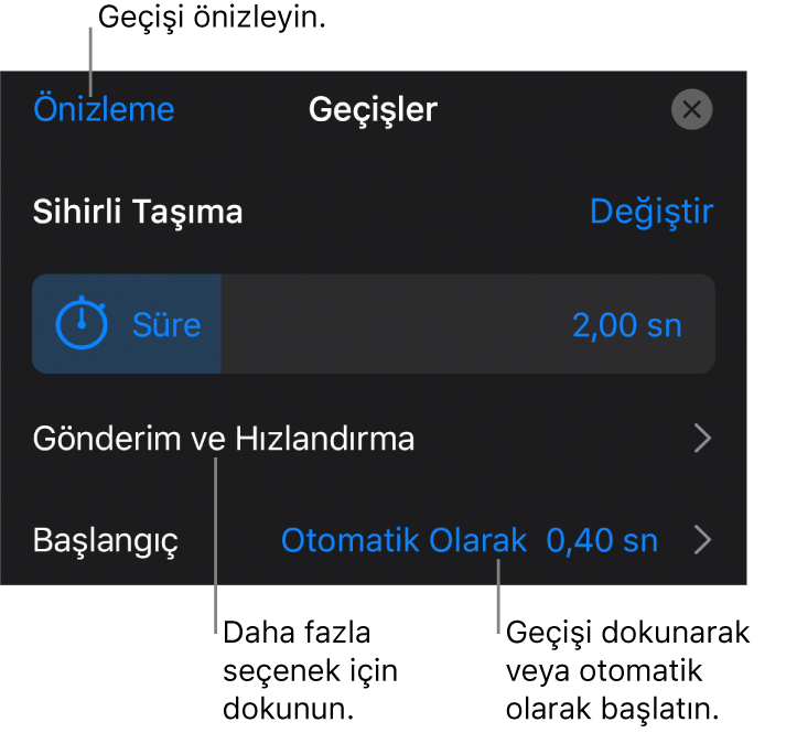 Geçişler bölümündeki Sihirli Taşıma denetimleri.