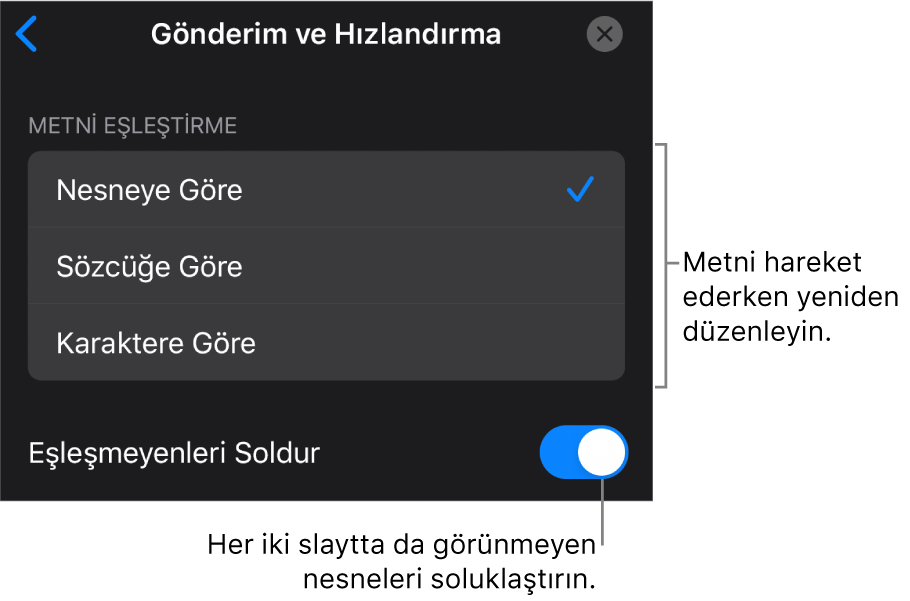 Hızlandırma bölümündeki Sihirli Taşıma gönderim ve hızlandırma seçenekleri.