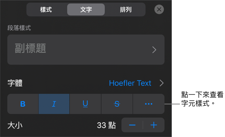 具備段落樣式的「格式」控制項目在最上方，然後是「字體」控制項目。「字體」下方為「粗體」、「斜體」、「底線」、「刪除線」和「更多文字選項」按鈕。