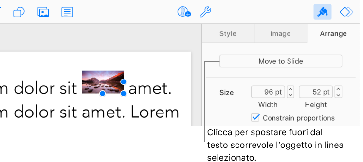 Nella casella di testo è selezionata un’immagine in linea e nel pannello Disposizione della barra laterale è visibile il pulsante Sposta nella diapositiva.