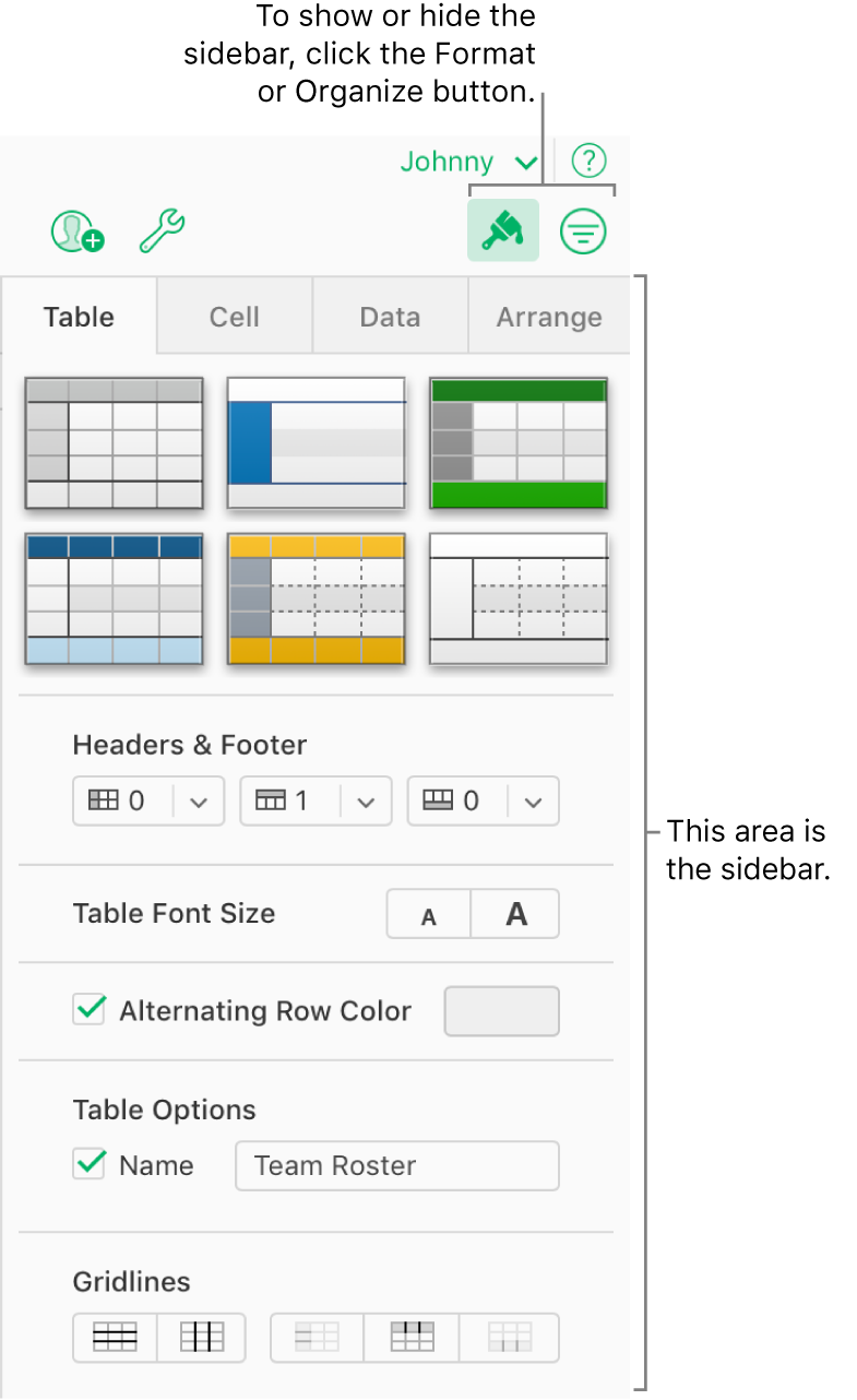 The Format button is selected in the toolbar, and table style, color, and other formatting controls appear in the sidebar to the right of the spreadsheet. The Organize button appears to the right of the Format button in the toolbar.