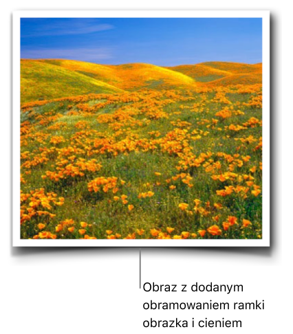 Obraz z dodanym obramowaniem ramki obrazu i cieniem.