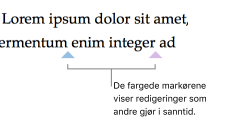 Markører viser hvor andre personer gjør endringer i et delt dokument.