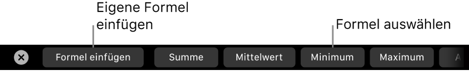 Die Touch Bar des MacBook Pro mit den Steuerelementen zum Einfügen einer eigenen Formel und zum Auswählen einer vordefinierten Formel.
