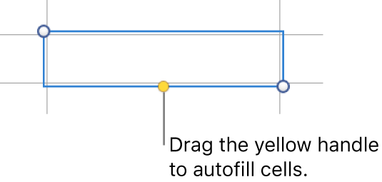 A selected cell with a yellow handle you can drag to auto fill cells.