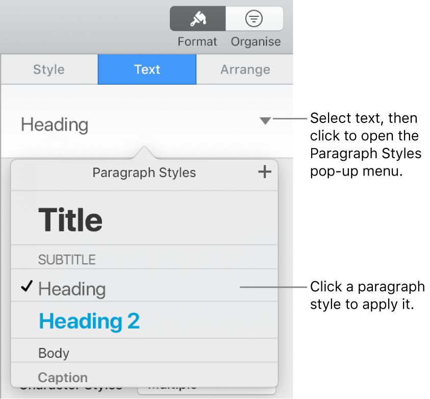 The Paragraph Styles menu with a tick next to the selected style.