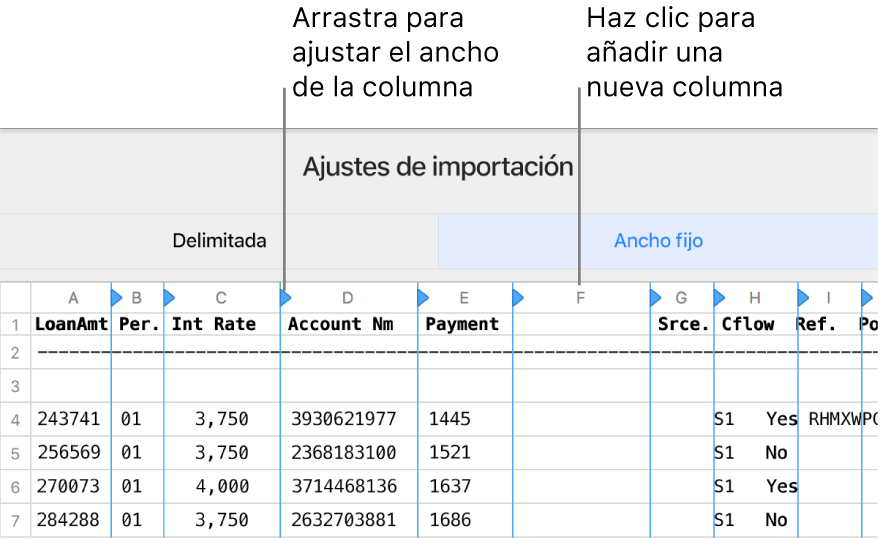 Los ajustes de importación de un archivo de texto de ancho fijo.