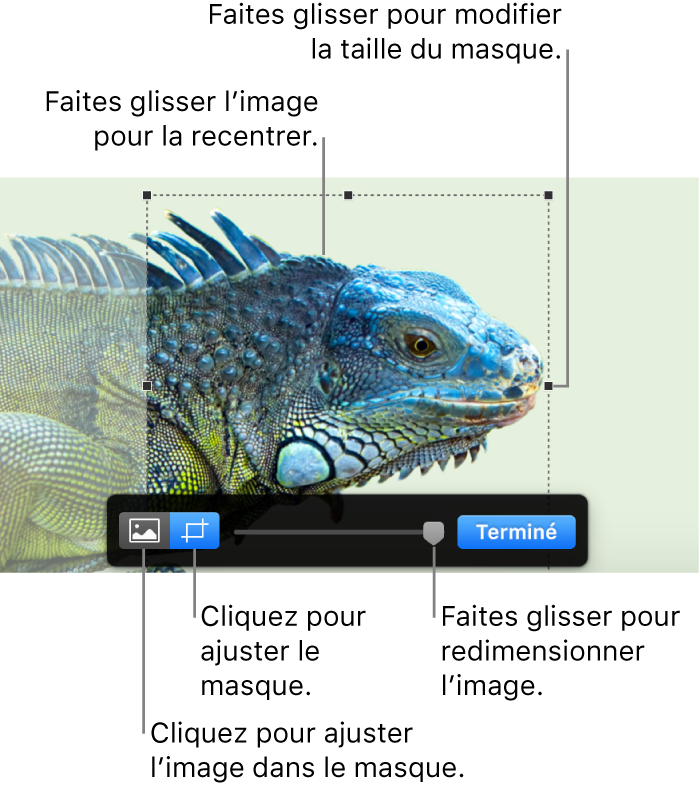 Les commandes de masque sur une photo.