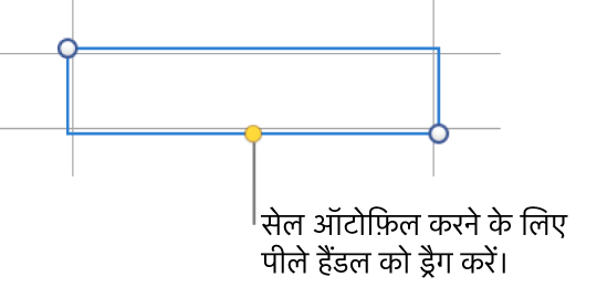 पीले हैंडल वाले चयनित सेल का उपयोग आप सेल को स्वतःभरण के लिए ड्रैग कर सकते हैं।