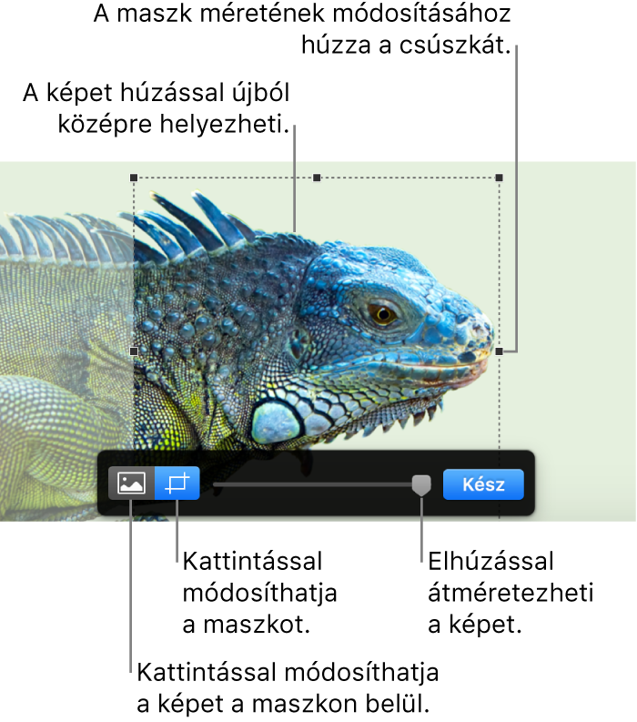 Maszkvezérlők a fényképen.