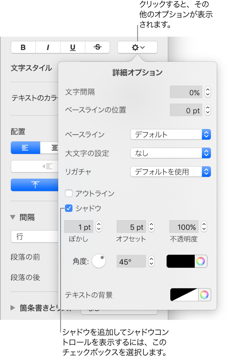 開いている「詳細オプション」メニュー。「シャドウ」チェックボックスが選択されていて、ぼかし、オフセット、不透明度、角度、および色を設定するためのコントロールが表示されている状態。