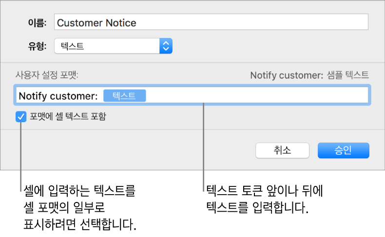 사용자 텍스트 셀 포맷.