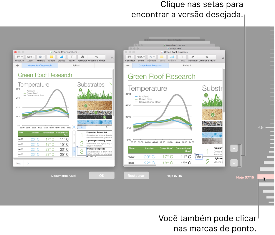 Janela Reverter, mostrando versões que podem ser exploradas.